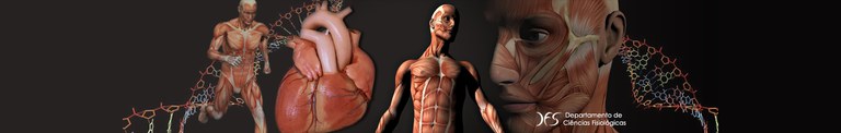 corpo humano.jpg