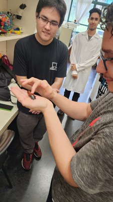 WhatsApp Image 2024-10-10 at 08.21.42.jpeg WhatsApp Image 2024-10-10 at 08.21.42.jpeg