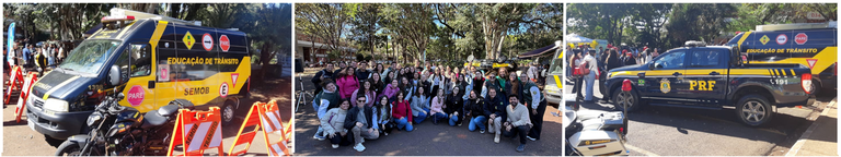 Maio Amarelo (1).png