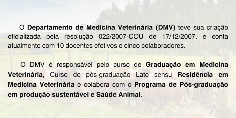 Inserir um subtítulo.png Inserir um subtítulo.png