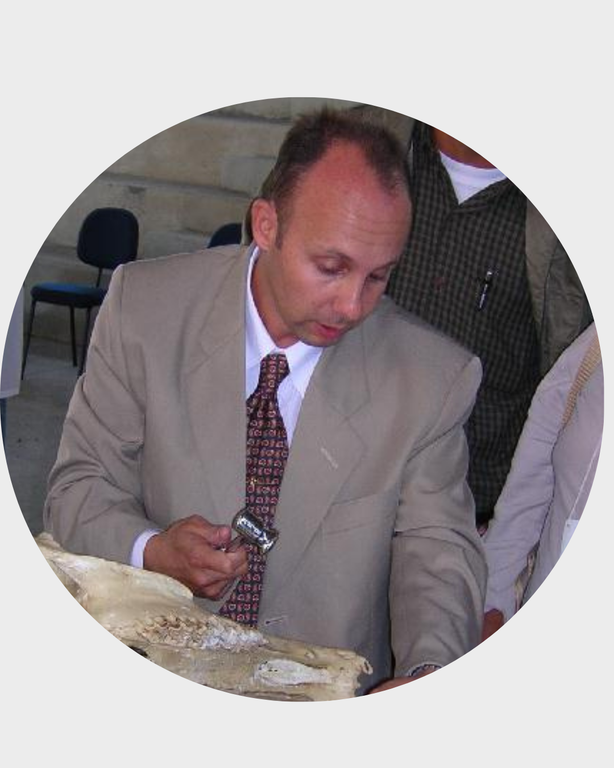 professores dmv (22).png