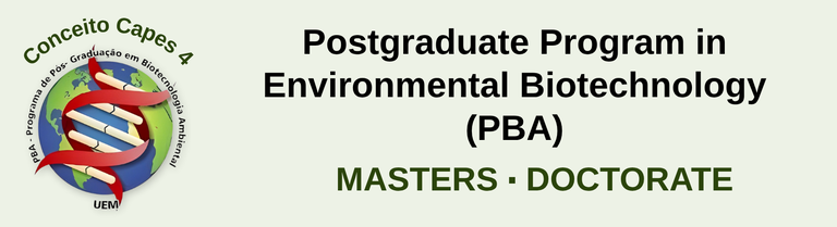 página (1108 x 435 px) (3).png