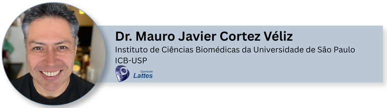 Dr Mauro.png