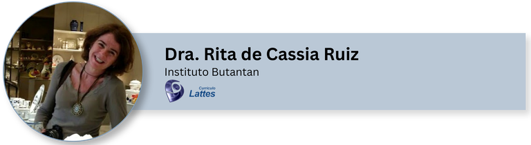 Dra Rita.png