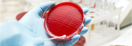 bacterianas.png bacterianas.png