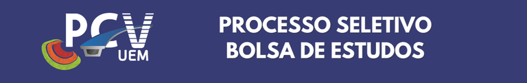 SELEÇAO BOLSA3.PNG