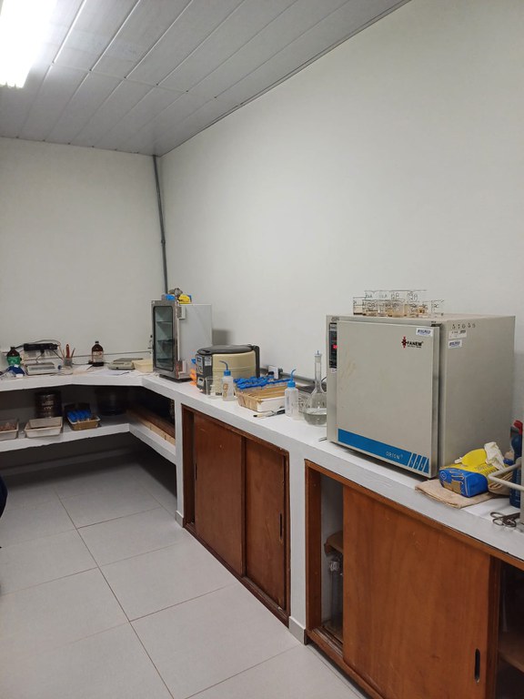 Imagem do WhatsApp de 2024-03-13 à(s) 11.08.00_56251ccb.jpg