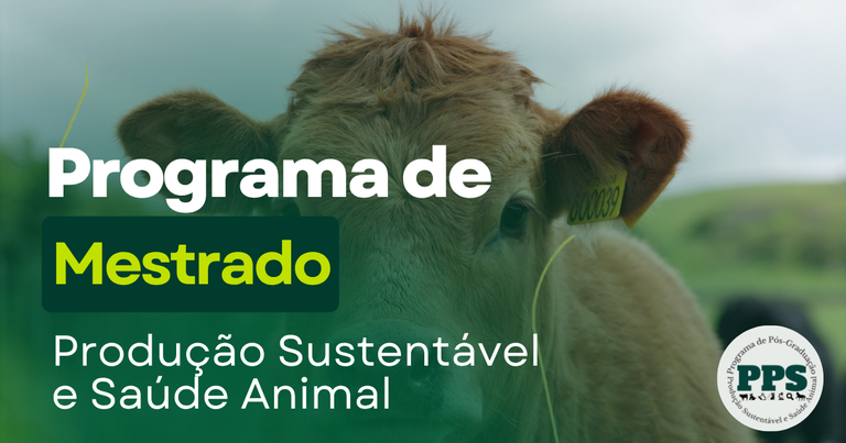 Design sem nome (3).png