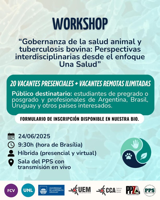 WhatsApp Image 2025-06-10 at 14.25.34.jpeg