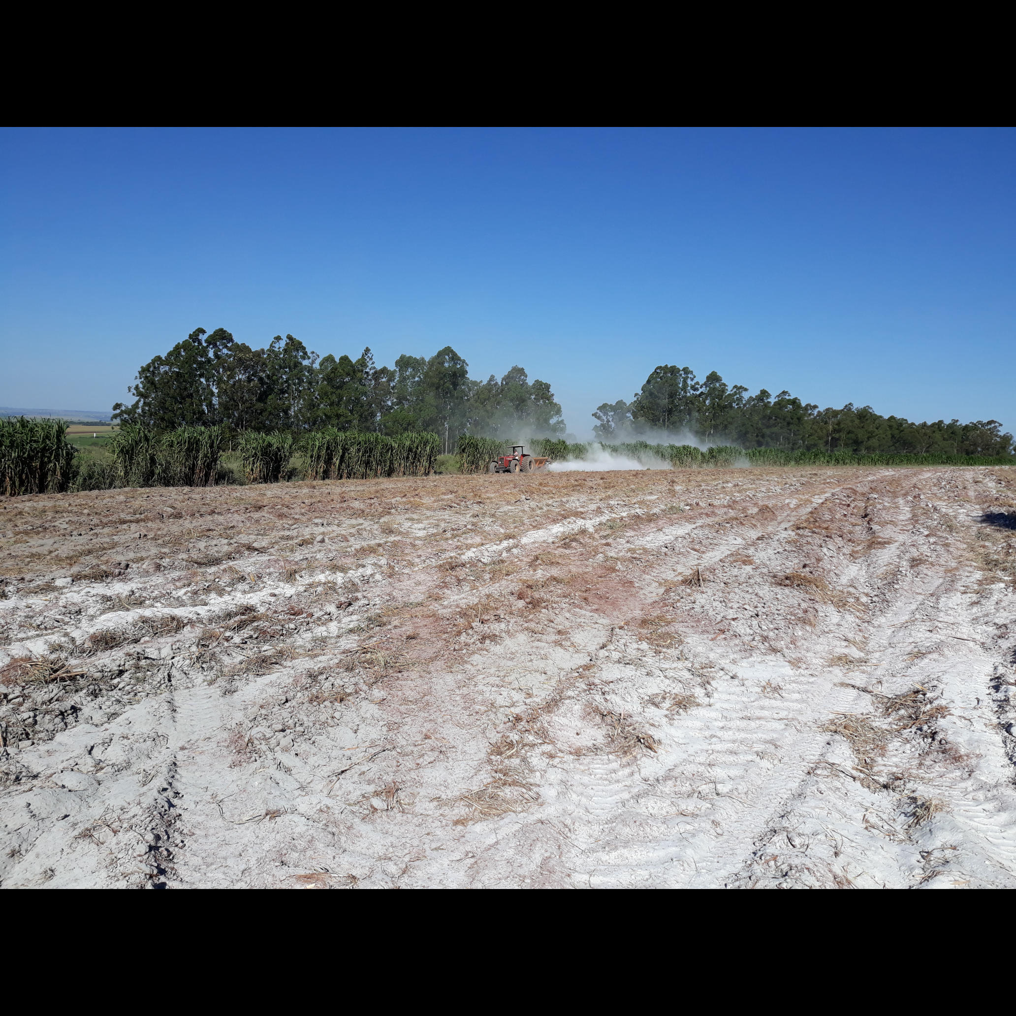 20210219_164339.jpg.jpg 20210219_164339.jpg.jpg