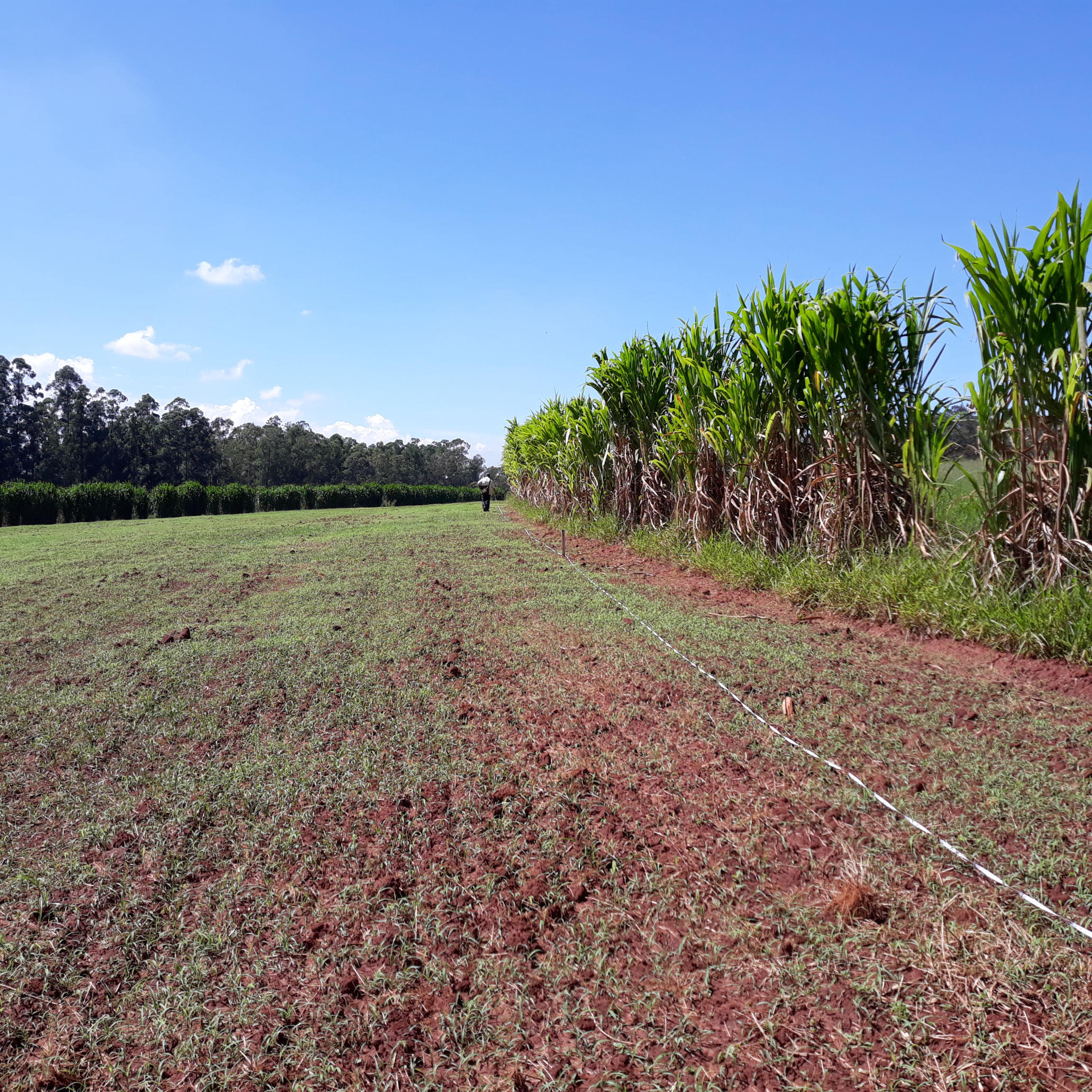 20210318_110026.jpg.jpg 20210318_110026.jpg.jpg