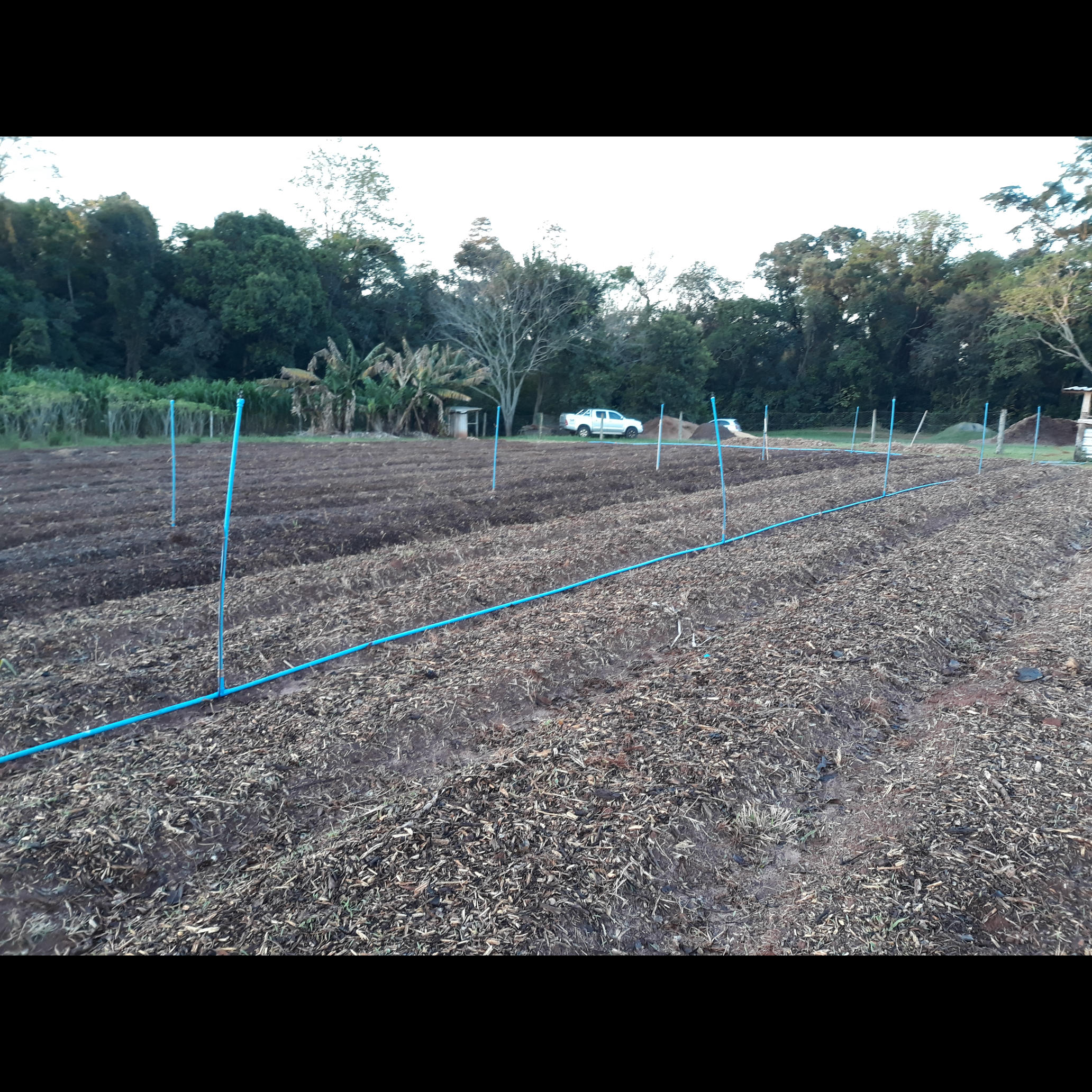 20200828_180154.jpg.jpg 20200828_180154.jpg.jpg