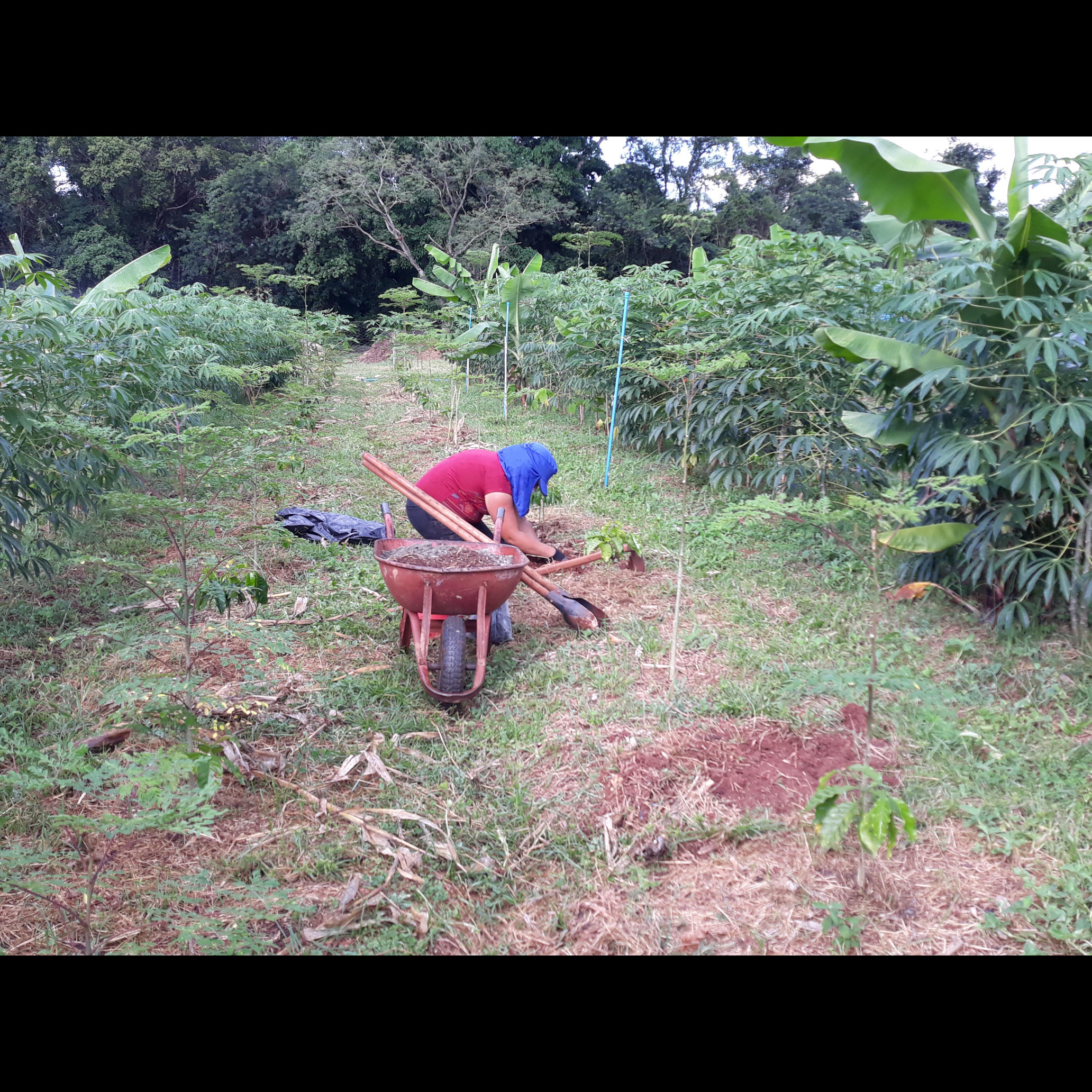 20210221_171502.jpg.jpg 20210221_171502.jpg.jpg