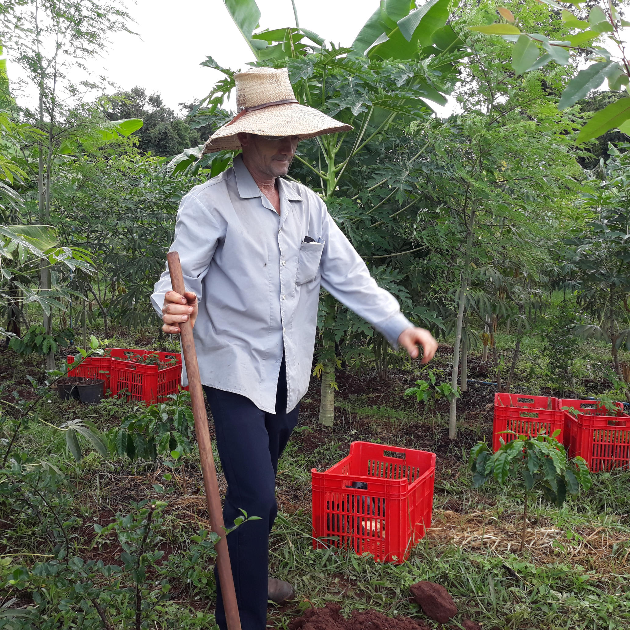 20210330_152757.jpg.jpg 20210330_152757.jpg.jpg