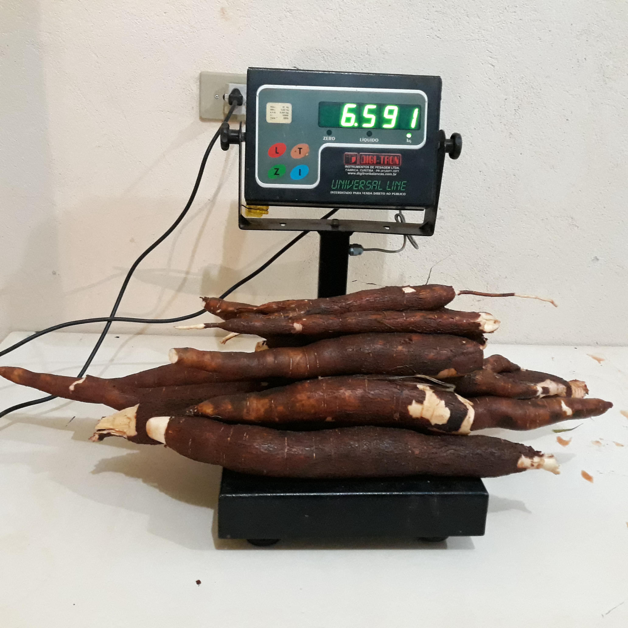 20210420_184124.jpg.jpg 20210420_184124.jpg.jpg