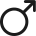 male.png
