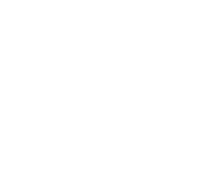 Logo PPG